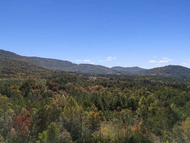 227 Mcallister Road, Copperhill, TN 37317