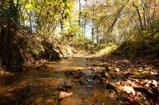 227 Mcallister Road, Copperhill, TN 37317