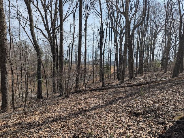 1704 Coles Knob RD, Pilot, VA 24138