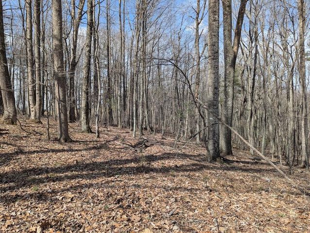 1704 Coles Knob RD, Pilot, VA 24138