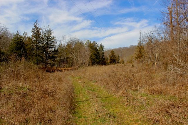 Madison 2251, Huntsville, AR 72740