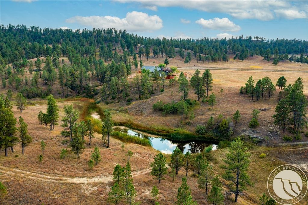 1245 Sarpy Creek ROAD, Hysham, MT 59038 photo 24
