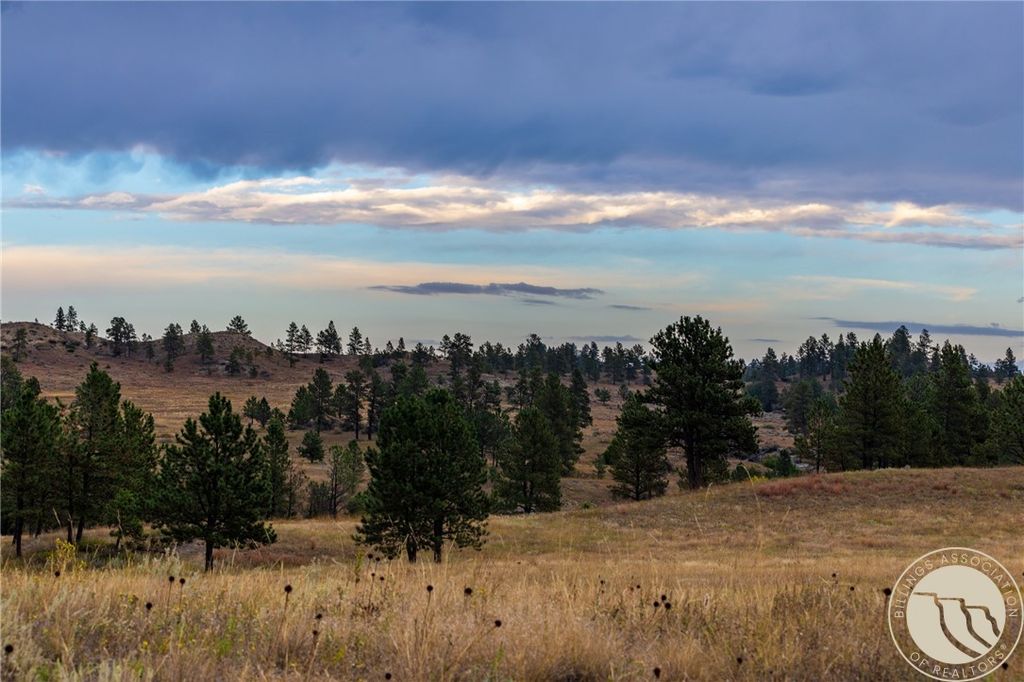 1245 Sarpy Creek ROAD, Hysham, MT 59038 photo 27