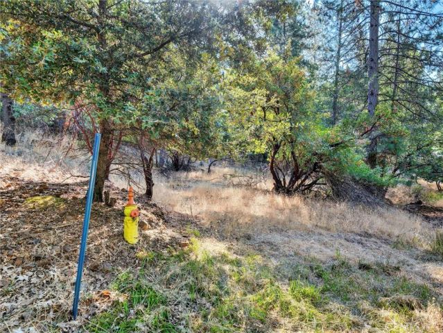 16370 Manzanita, Cobb, CA 95426