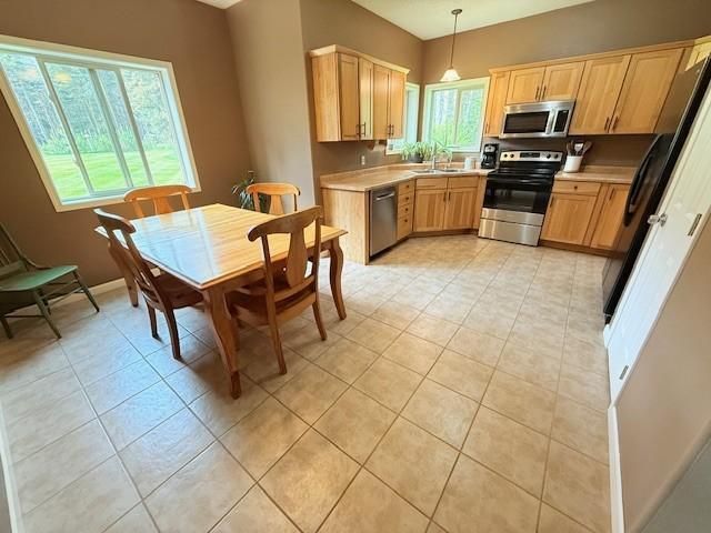4648 Scotchpine Court NW, Bemidji, MN 56601