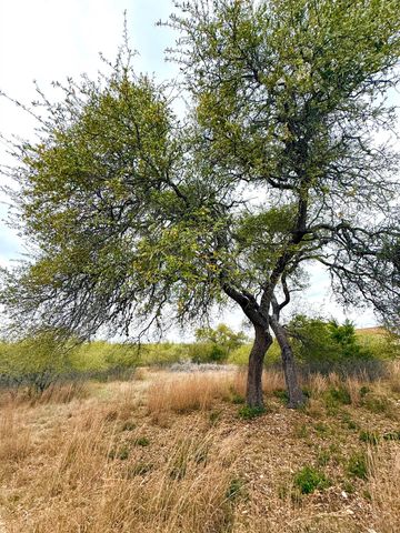 103 Ira Long, Blanco, TX 78606