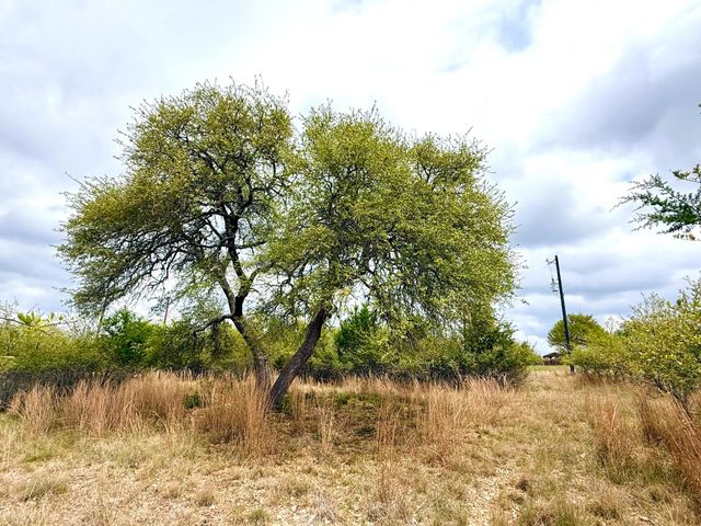 103 Ira Long, Blanco, TX 78606