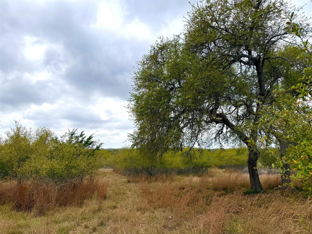 103 Ira Long, Blanco, TX 78606