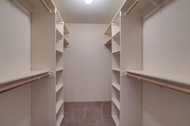 12917 Deer Dancer Trail NE, Albuquerque, NM 87112