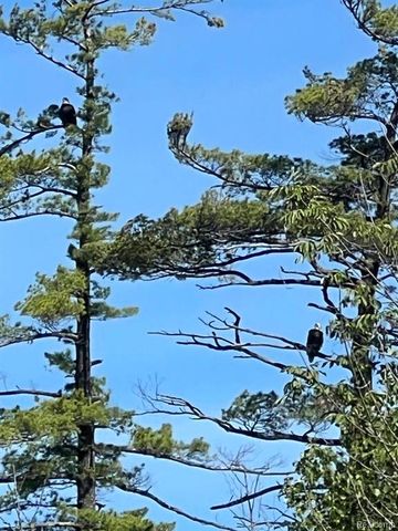 10874 Park Place, Evart, MI 49631