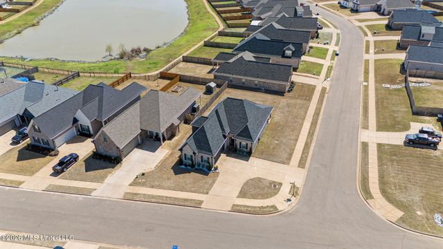 5175 Watson View Drive, Nesbit, MS 38651