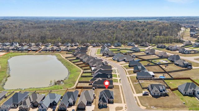 5175 Watson View Drive, Nesbit, MS 38651