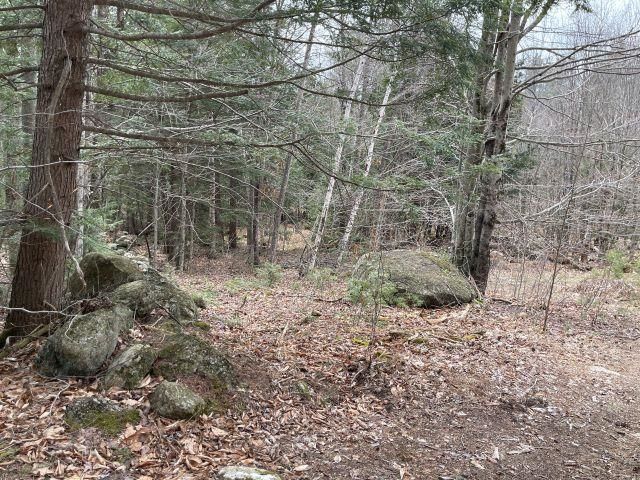 241 Smith Pond Road, Washington, NH 03280