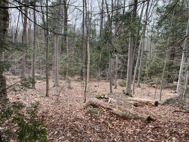 241 Smith Pond Road, Washington, NH 03280