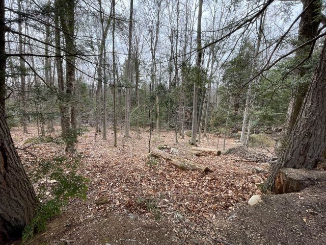 241 Smith Pond Road, Washington, NH 03280