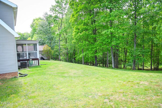 30221 Old Saltworks Road, Meadowview, VA 24361