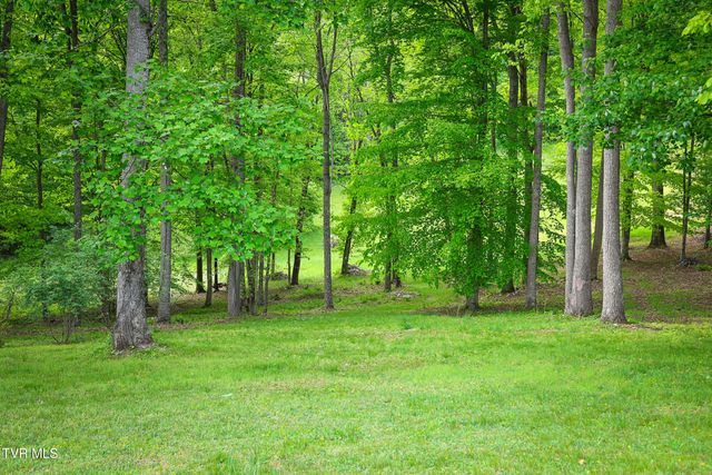 30221 Old Saltworks Road, Meadowview, VA 24361