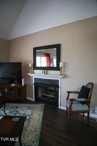 30221 Old Saltworks Road, Meadowview, VA 24361