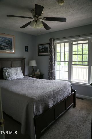 30221 Old Saltworks Road, Meadowview, VA 24361