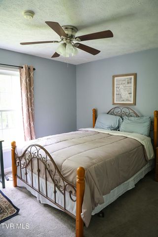 30221 Old Saltworks Road, Meadowview, VA 24361