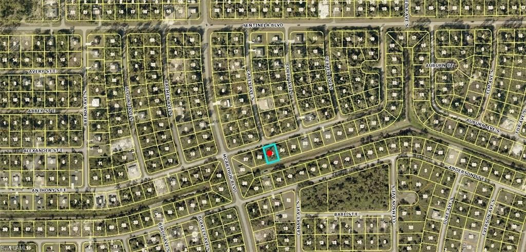 1006 Anthony ST E, LEHIGH ACRES, FL 33974 — photo 2