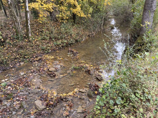 2594 Faulkner Springs Rd, Mcminnville, TN 37110