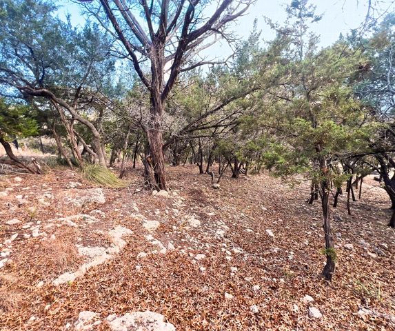 18505 Monet Pointe DR, Jonestown, TX 78645