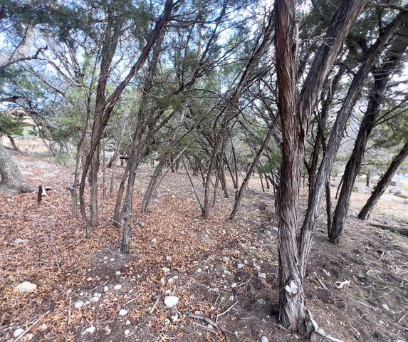 18505 Monet Pointe DR, Jonestown, TX 78645