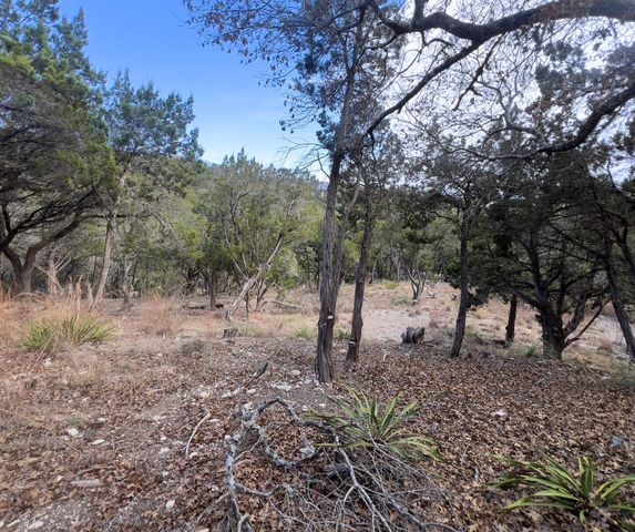 18505 Monet Pointe DR, Jonestown, TX 78645