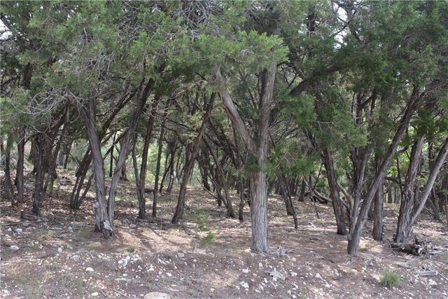 18505 Monet Pointe DR, Jonestown, TX 78645