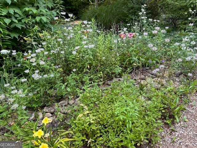 543 Martins Grove Road, Dahlonega, GA 30533