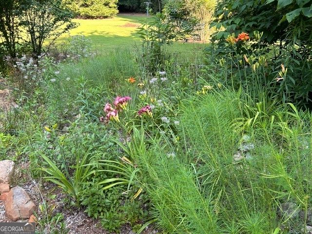 543 Martins Grove Road, Dahlonega, GA 30533