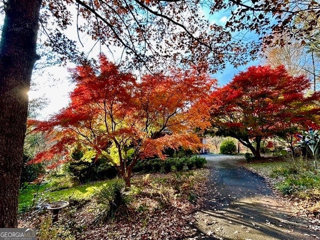 543 Martins Grove Road, Dahlonega, GA 30533