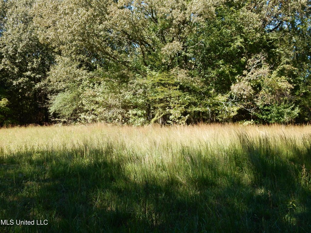 Lot 4 N Crockett Road, Senatobia, MS 38668 — photo 2