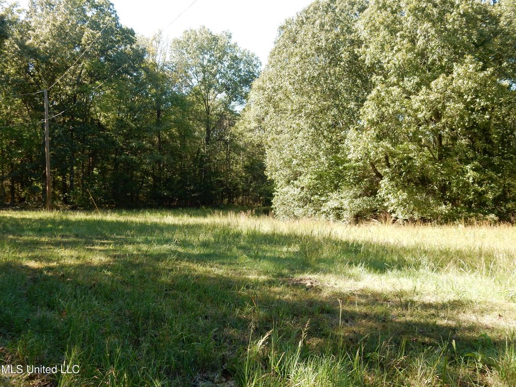 Lot 4 N Crockett Road, Senatobia, MS 38668 — photo 3