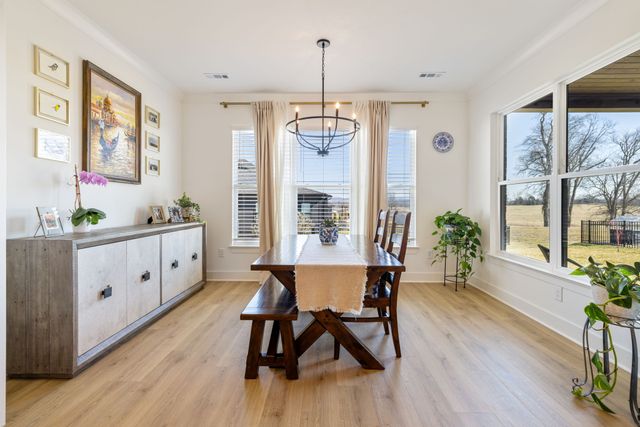 3279 Sassafras Ln, Thompsons Station, TN 37179