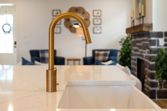 3279 Sassafras Ln, Thompsons Station, TN 37179