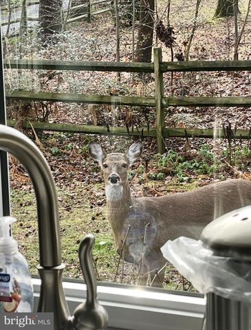 339 PLUSH MILL RD, Wallingford, PA 19086