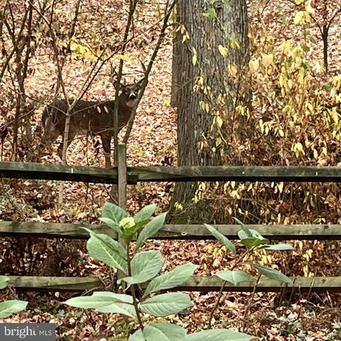 339 PLUSH MILL RD, Wallingford, PA 19086