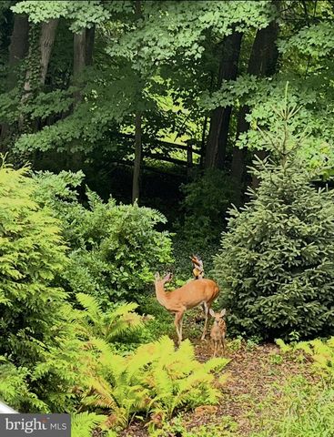 339 PLUSH MILL RD, Wallingford, PA 19086