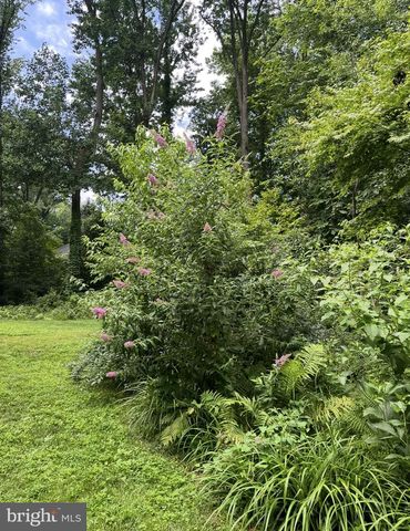 339 PLUSH MILL RD, Wallingford, PA 19086