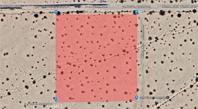 0 Arizona, Joshua Tree, CA 92252