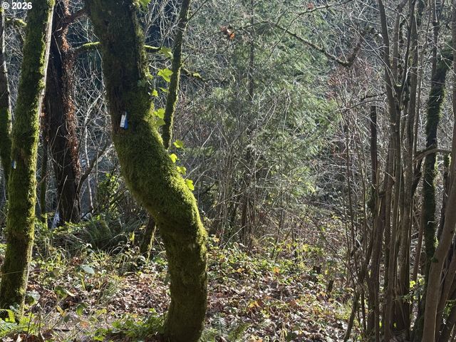 0 Sw BROADWAY Dr, Portland, OR 97201