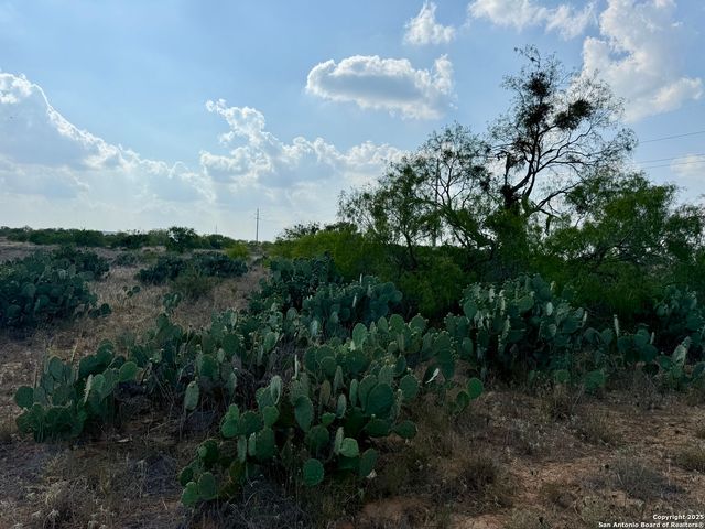 TBD LOT 61 E CR 1647, Moore, TX 78057