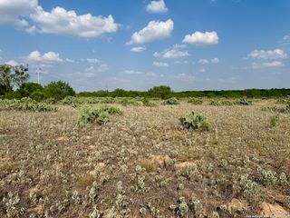 TBD LOT 61 E CR 1647, Moore, TX 78057