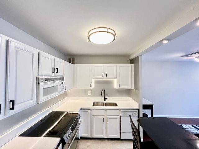 100 E Walton Place 14A, Chicago, IL 60611