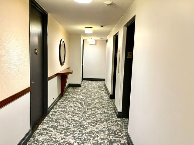 100 E Walton Place 14A, Chicago, IL 60611