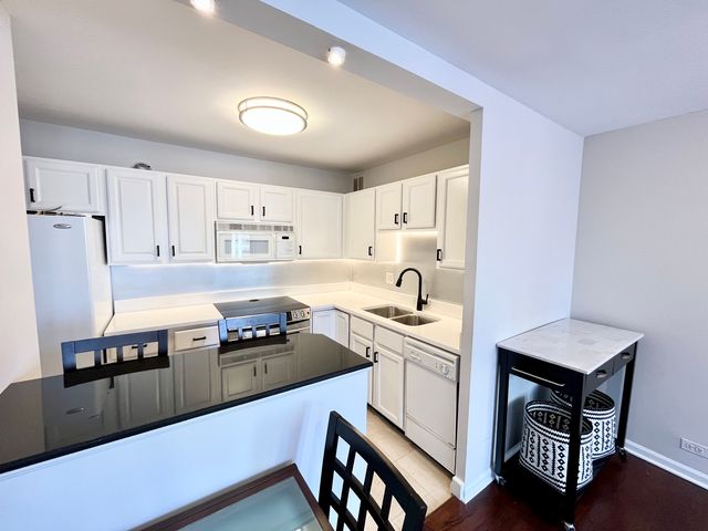 100 E Walton Place 14A, Chicago, IL 60611