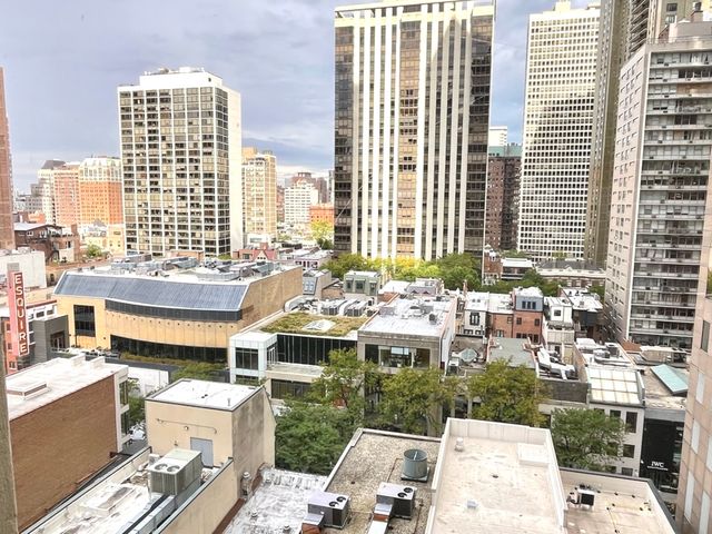 100 E Walton Place 14A, Chicago, IL 60611