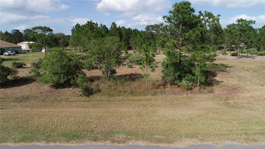19353 REYNOLDS PARKWAY, Orlando, FL 32833